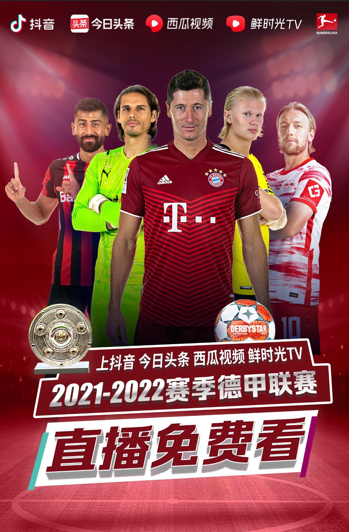 是加维和